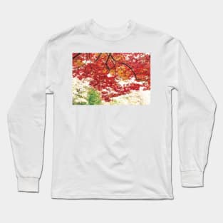 The Red Dome Long Sleeve T-Shirt